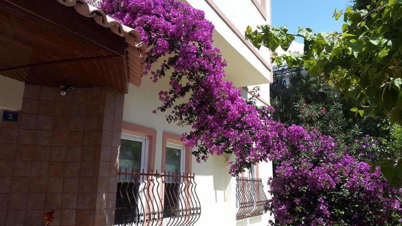 The S & 3* Alanya